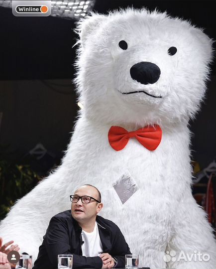 Белый мишка поздравление, ми ту ю, панда