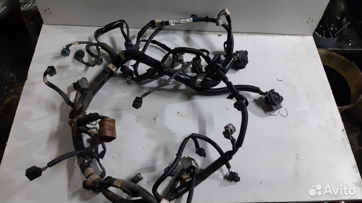 Проводка моторного отсека Subaru Forester