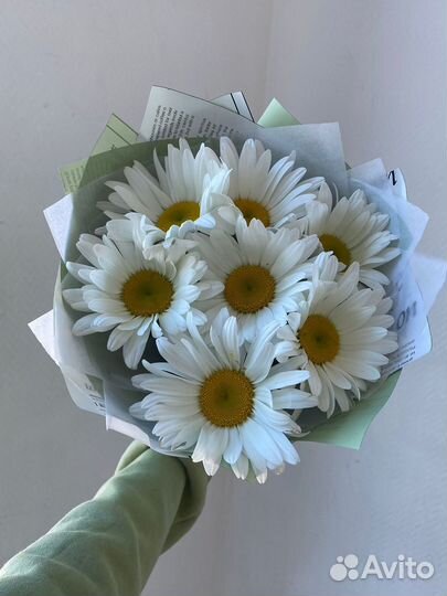Ромашки цветы букеты