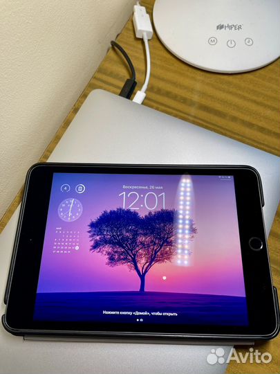 iPad mini 5 256gb wifi