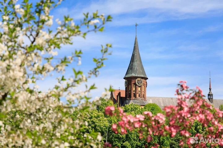 Калининград на 360