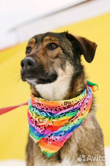 Юный Люк ждет свою семью