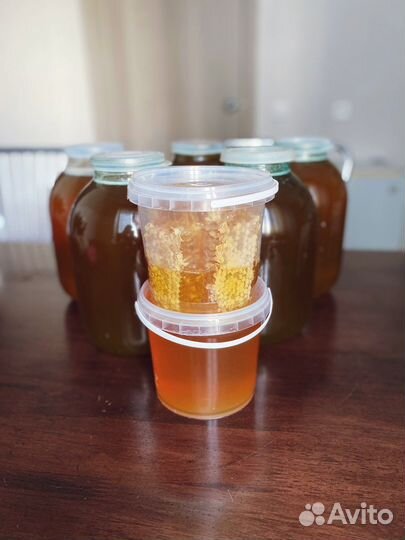 Свежий мёд 2023