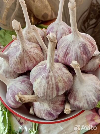 Чеснок