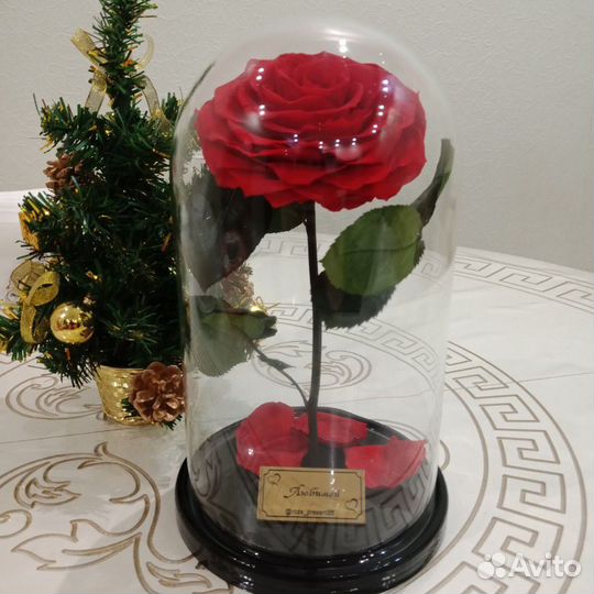 Роза в колбе king