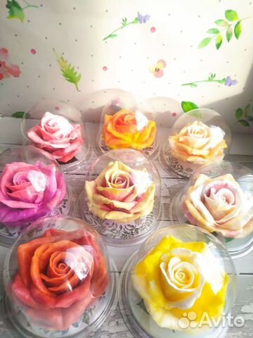 Роза в куполе