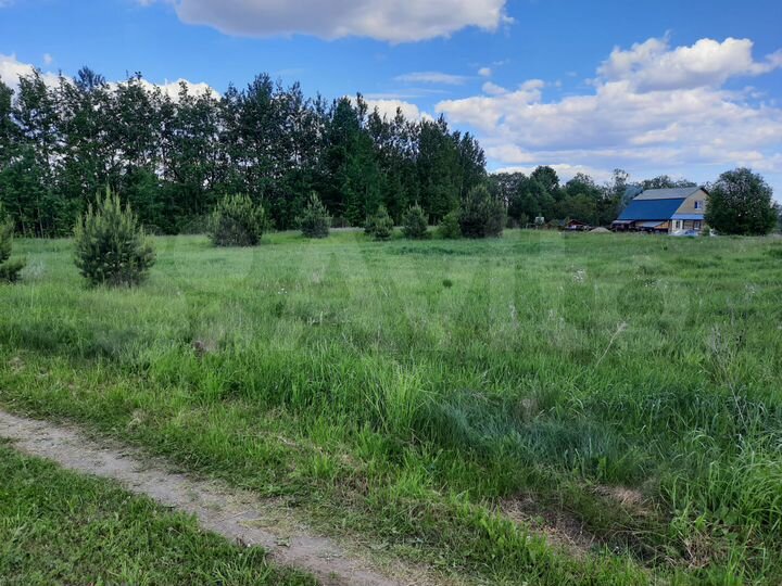 Участок 50 сот. (ИЖС)