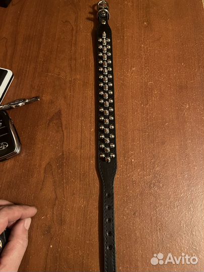 Ошейник для собак