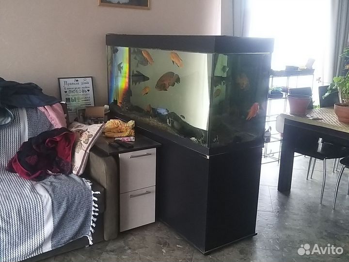 Аквариум с рыбками, тумба, насос 500 литров