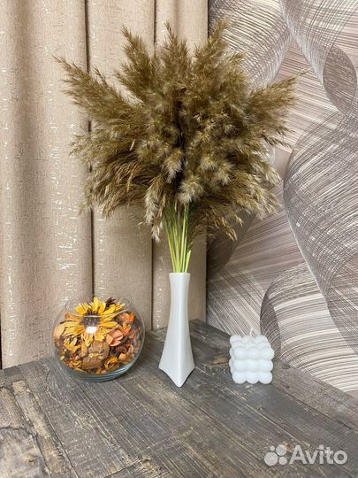 Пампасная трава сухоцветы