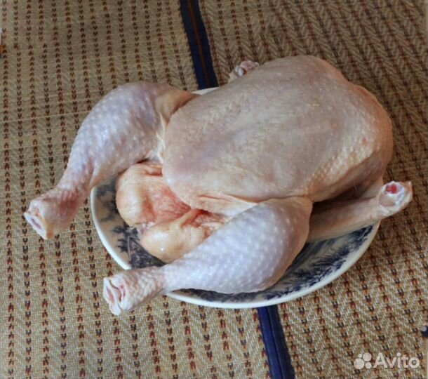 Цыпленок бройлер домашний