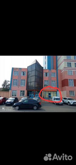 Корм для кошек Супер-премиум от производителя