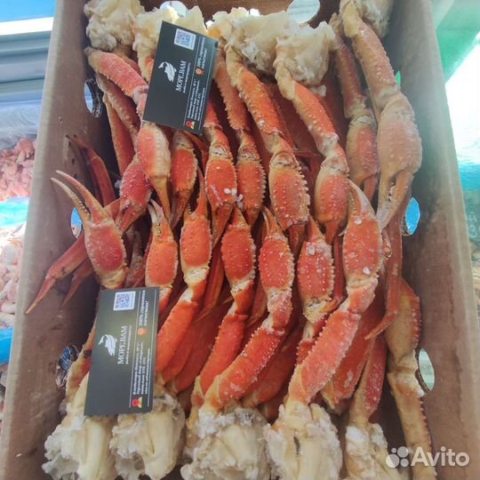 Конечности краба Стригуна