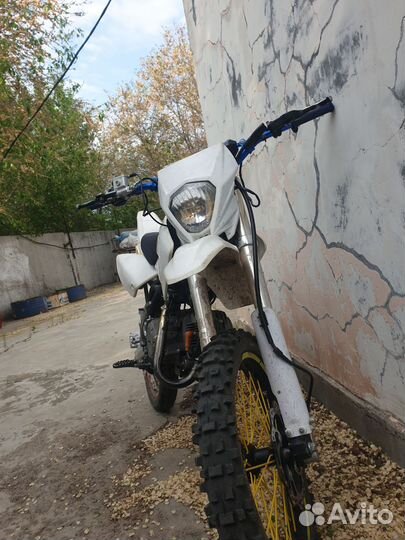 Reguli moto seven