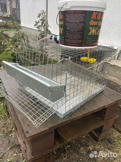 Клетки для перепелов бу