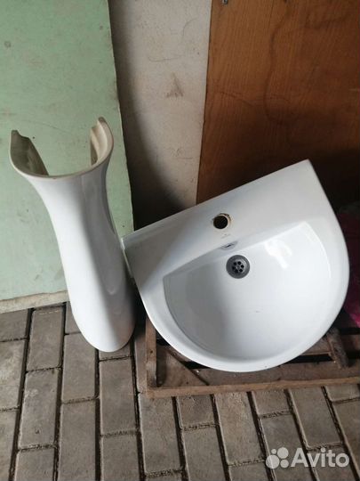 Раковина тюльпан