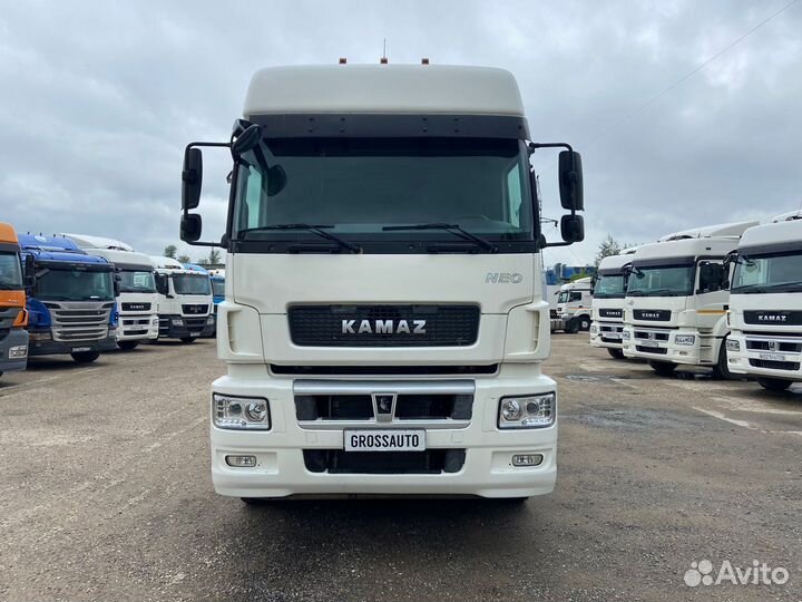 КамАЗ 5490 NEO, 2019