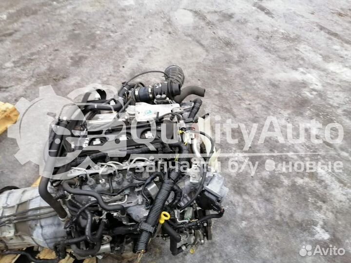 Двигатель YD25DDTi Nissan Navara 2.5 л