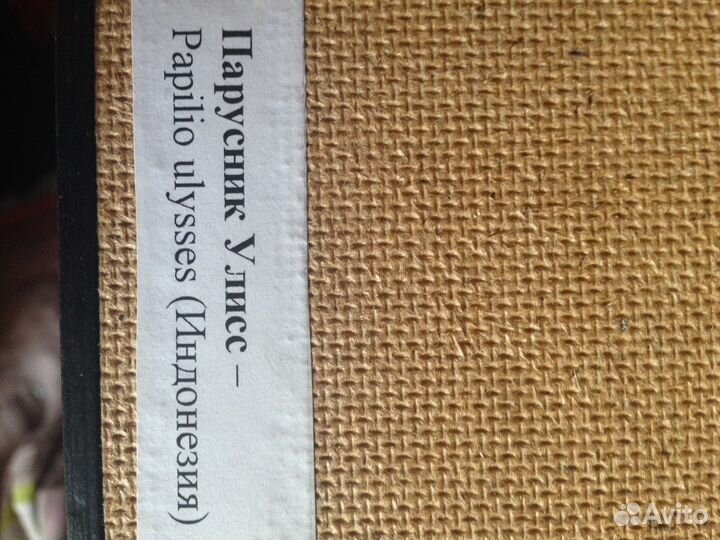 Коллекция- картина 