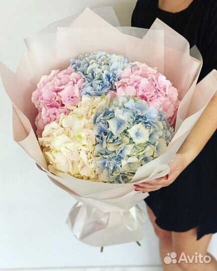 Пышные Гортензии в Букетах. Доставка/Самовывоз