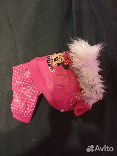 Куртка для собак мелких пород