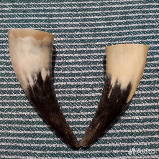 Рога от карандашницы СССР