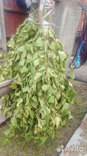 Березовые веники