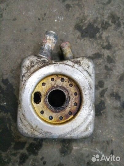 Радиатор масляный Volkswagen Passat B5