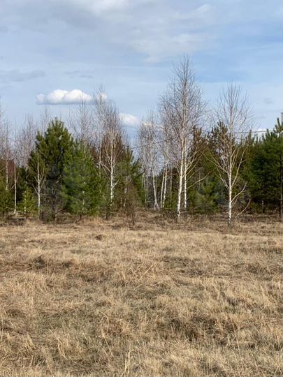 Участок 12 сот. (ИЖС)