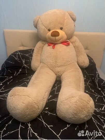 Плюшевый медведь