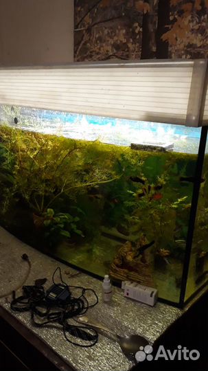 Аквариум
