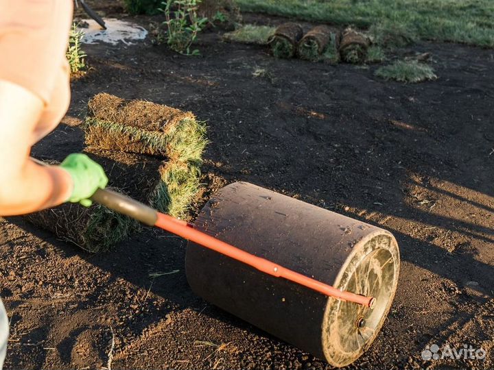 Укладка рулонного газона