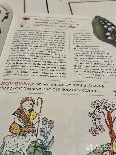 Растительный мир в картинках