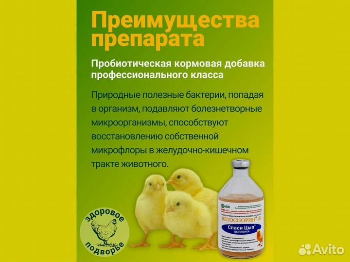 Кормовые добавки для домашней птицы