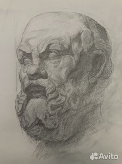 Рисунок Бюст. Копия
