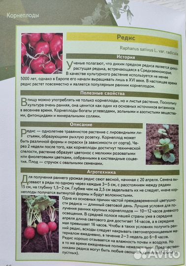 Яковлева О.В. Практическая энциклопедия огородника