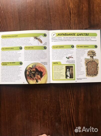 Насекомые и другие маленькие животные