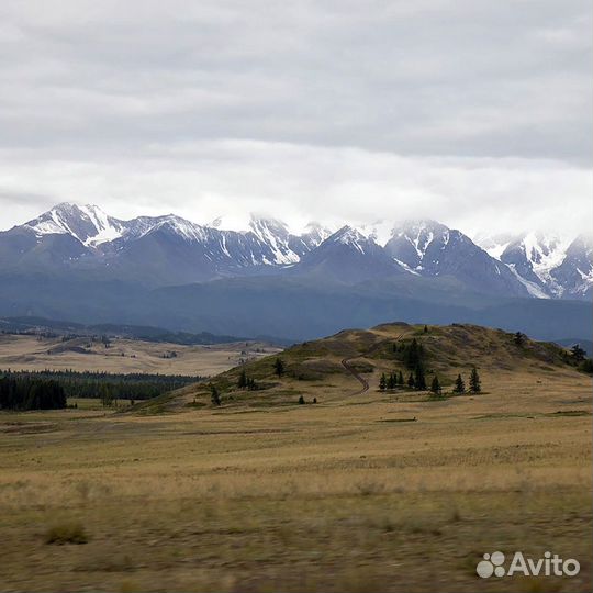 Аренда микроавтобуса Трансфер по Уралу и России