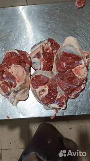 Мясо говядина