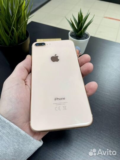 iPhone 8 Plus, 128 ГБ
