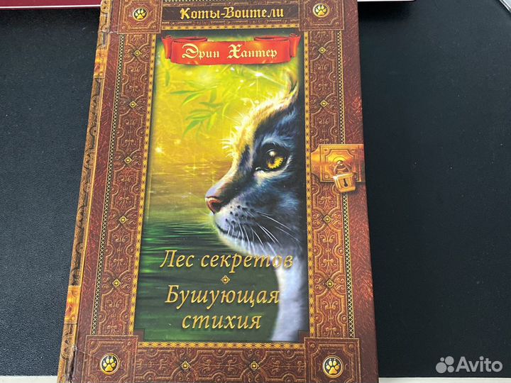 Коты воители Серия книг Первая