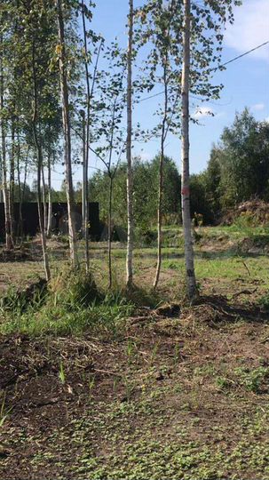 Участок 12 сот. (СНТ, ДНП)