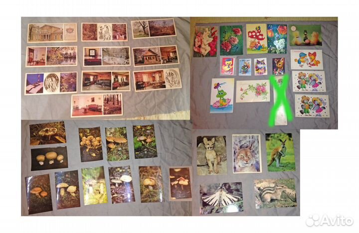 Открытки СССР :А.Пушкин, животные, грибы+другие