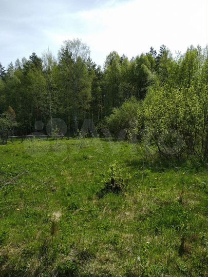 Участок 10 сот. (СНТ, ДНП)