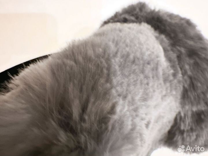 Наушники меховые - бобер