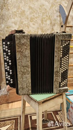 Баян тульский