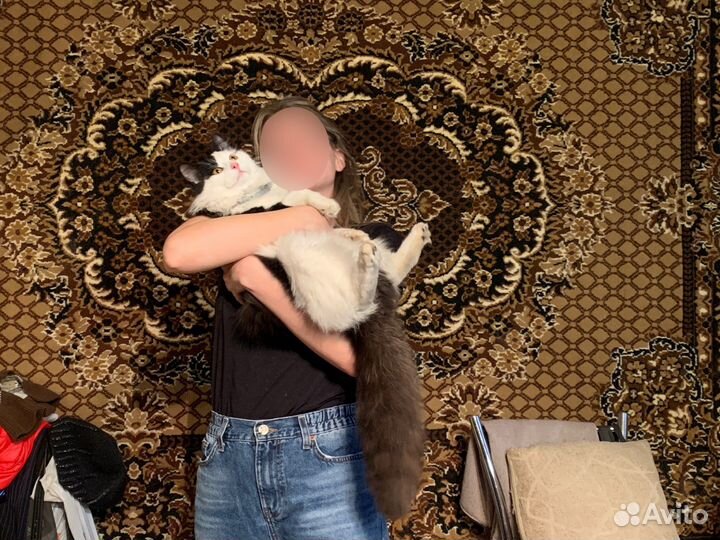 Какой же я красивый