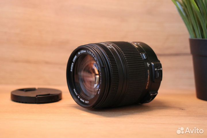 Sigma 18-250mm DC Macro OS HSM Nikon