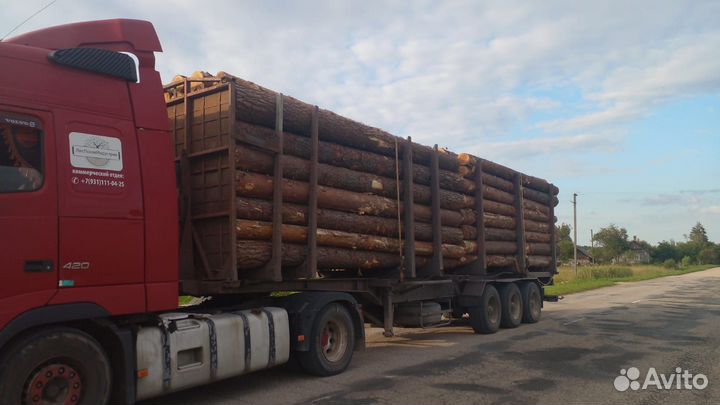 Пиловочник Круглый лес