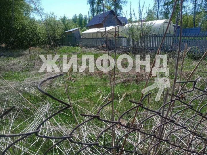 Участок 6 сот. (СНТ, ДНП)